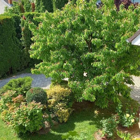Patrik Apartman * Siofok